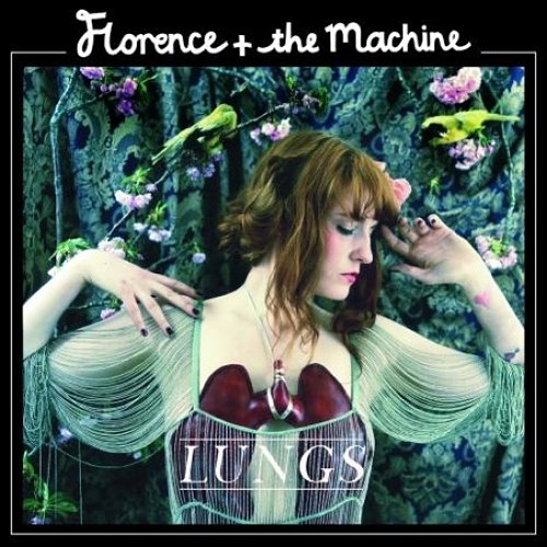 florence-and-the-machines-lung.jpg